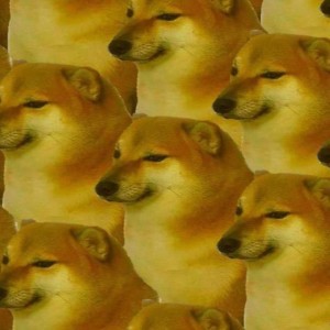 CheemsOnMars ThatsWicked