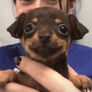 Bongsepankhae Janthong